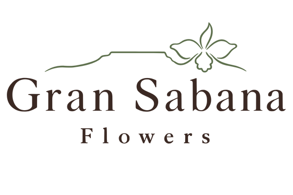 Gran Sabana Flowers